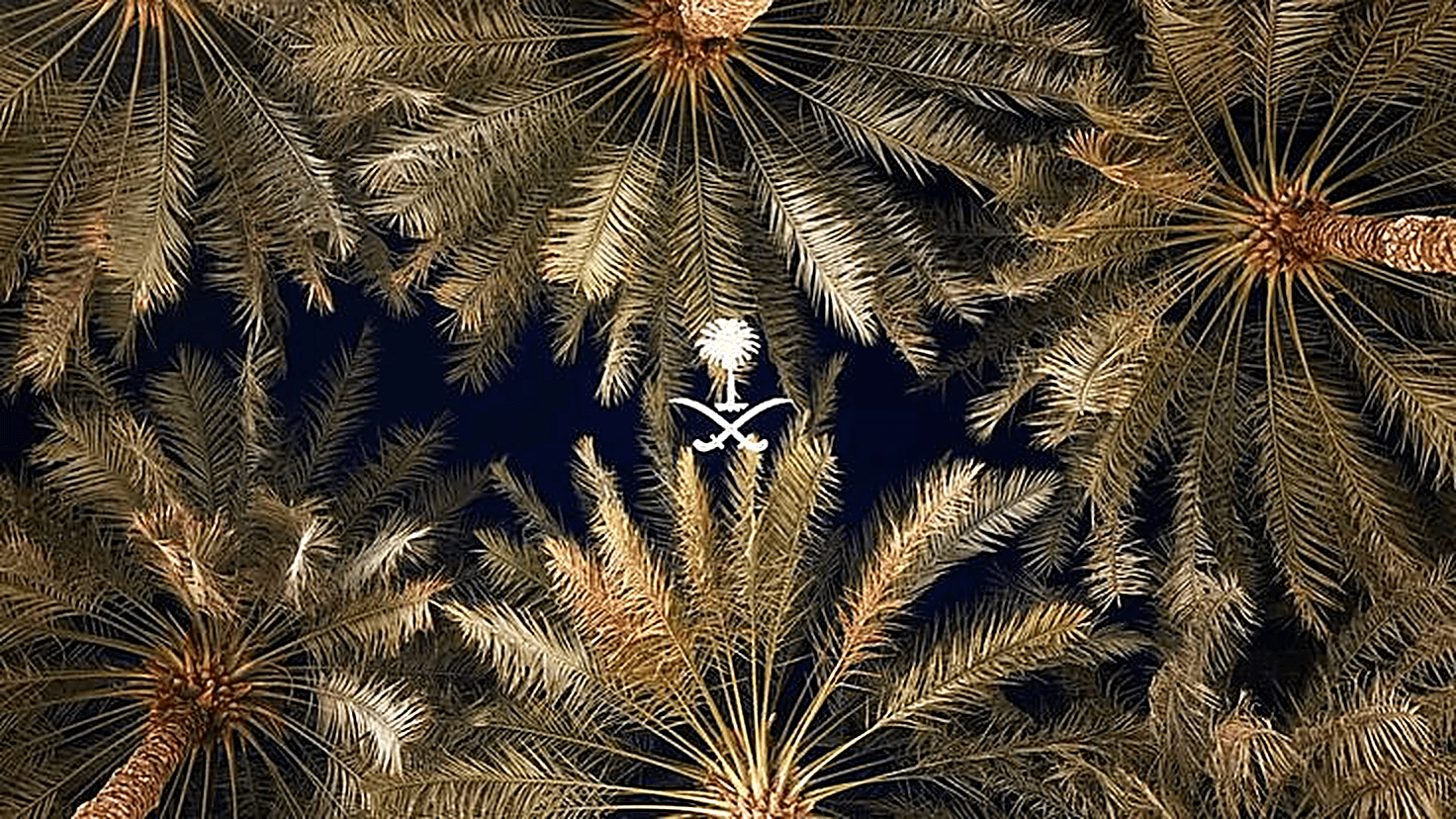 Palm trees illuminated at night with the Saudi national emblem